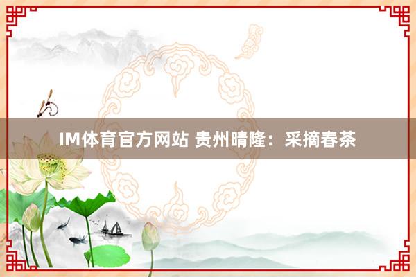 IM体育官方网站 贵州晴隆：采摘春茶