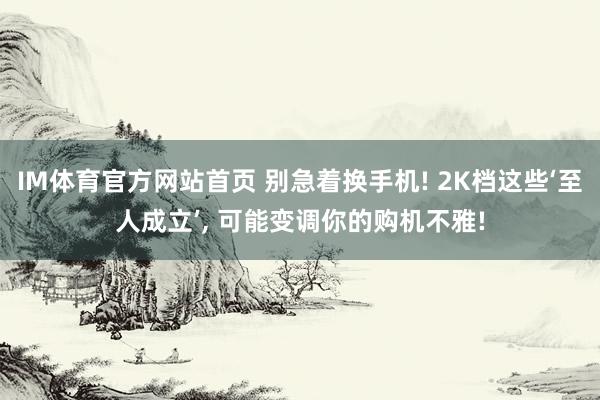 IM体育官方网站首页 别急着换手机! 2K档这些‘至人成立’， 可能变调你的购机不雅!