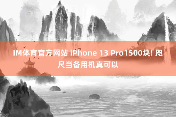 IM体育官方网站 iPhone 13 Pro1500块! 咫尺当备用机真可以