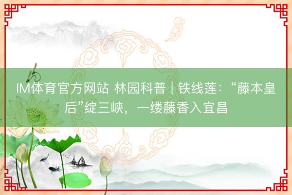 IM体育官方网站 林园科普 | 铁线莲：“藤本皇后”绽三峡，一缕藤香入宜昌