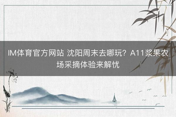 IM体育官方网站 沈阳周末去哪玩？A11浆果农场采摘体验来解忧