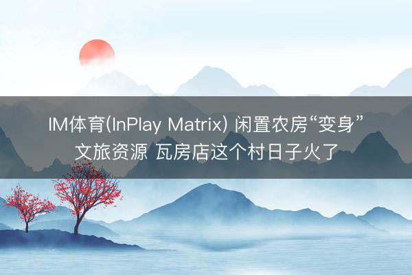 IM体育(InPlay Matrix) 闲置农房“变身”文旅资源 瓦房店这个村日子火了
