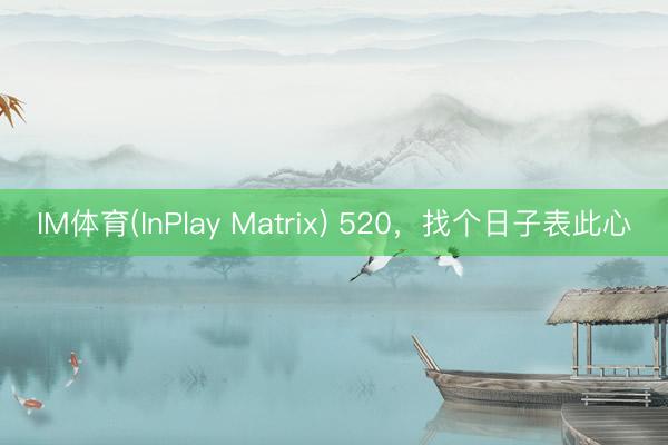IM体育(InPlay Matrix) 520，找个日子表此心