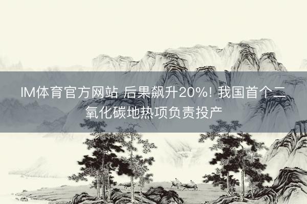 IM体育官方网站 后果飙升20%! 我国首个二氧化碳地热项负责投产