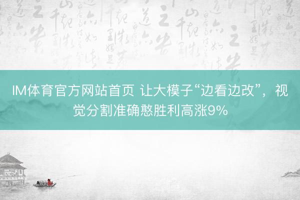 IM体育官方网站首页 让大模子“边看边改”，视觉分割准确憨胜利高涨9%