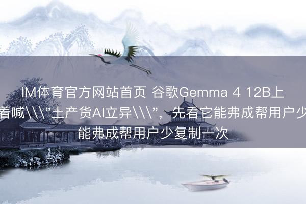 IM体育官方网站首页 谷歌Gemma 4 12B上手：别急着喊\