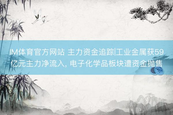 IM体育官方网站 主力资金追踪|工业金属获59亿元主力净流入， 电子化学品板块遭资金抛售