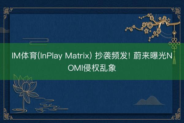 IM体育(InPlay Matrix) 抄袭频发! 蔚来曝光NOMI侵权乱象