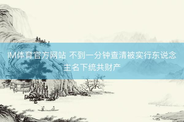 IM体育官方网站 不到一分钟查清被实行东说念主名下统共财产