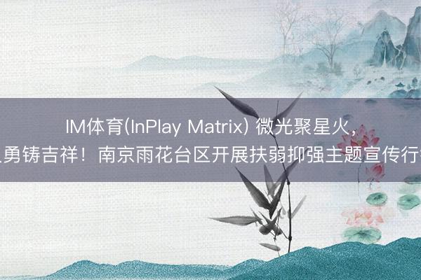 IM体育(InPlay Matrix) 微光聚星火，义勇铸吉祥！南京雨花台区开展扶弱抑强主题宣传行径